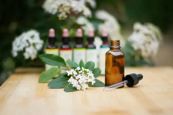 Homöopathische Tinkturen und Pflanzen